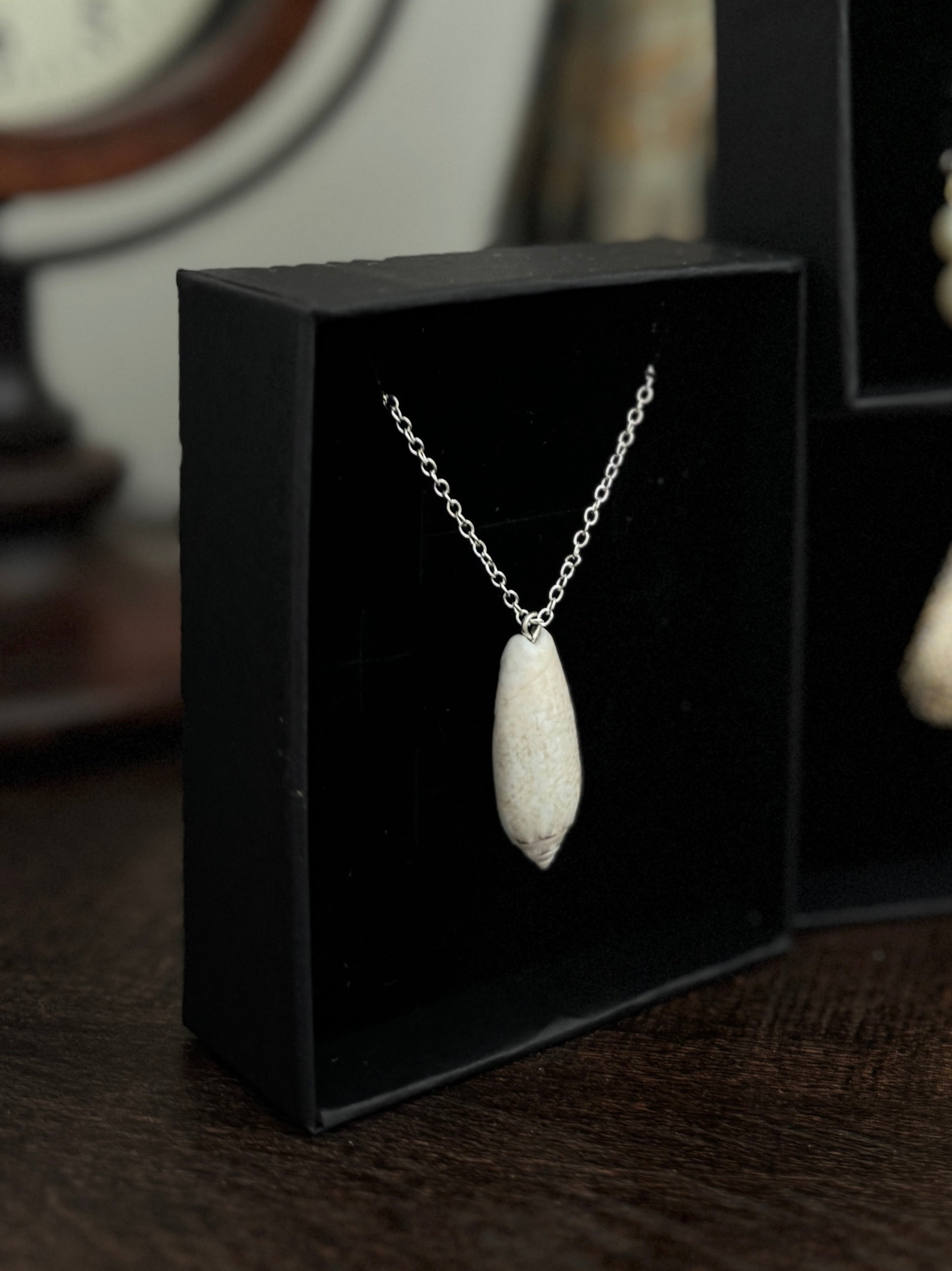 Lettered Olive Shell Pendant Necklace