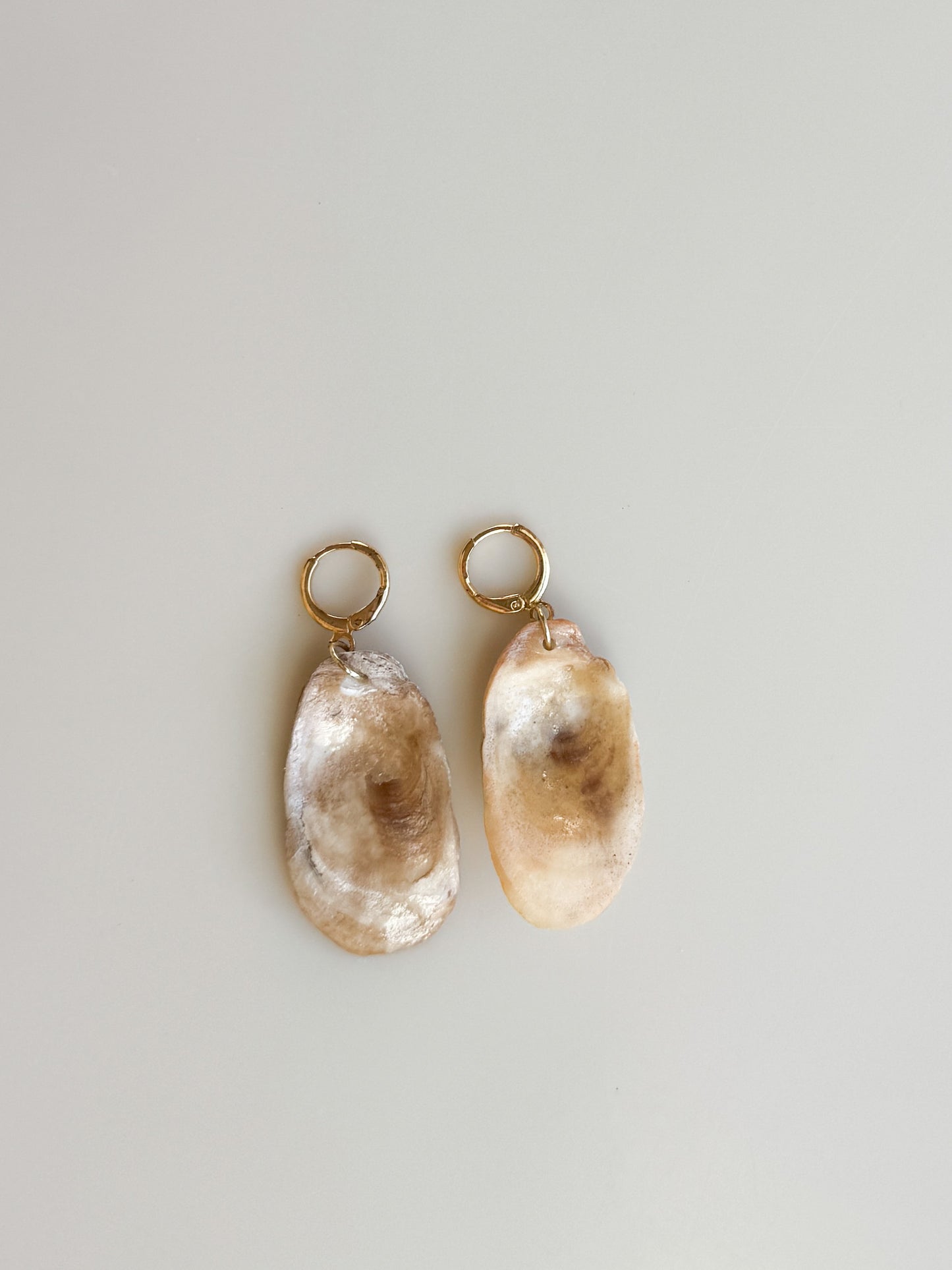 Oyster Shell Huggie Hoops