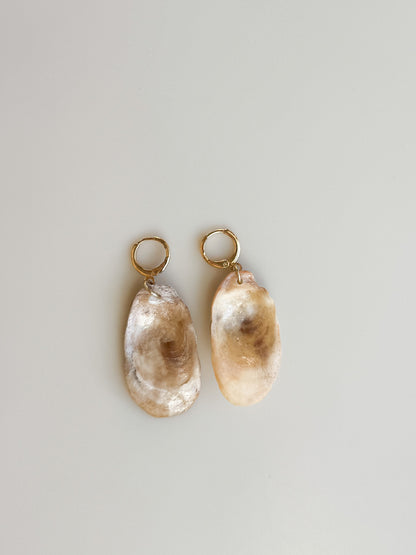 Oyster Shell Huggie Hoops