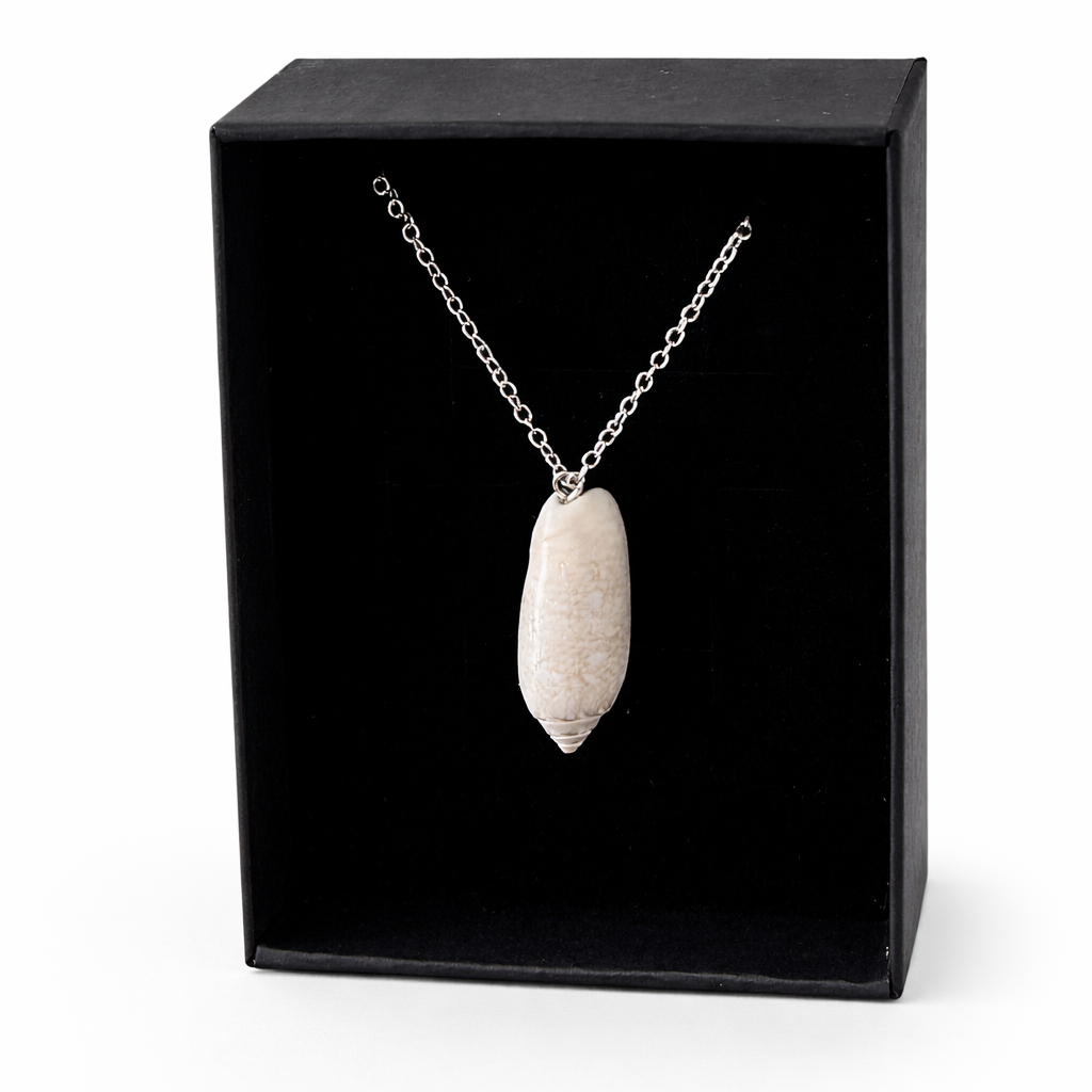 Lettered Olive Shell Pendant Necklace
