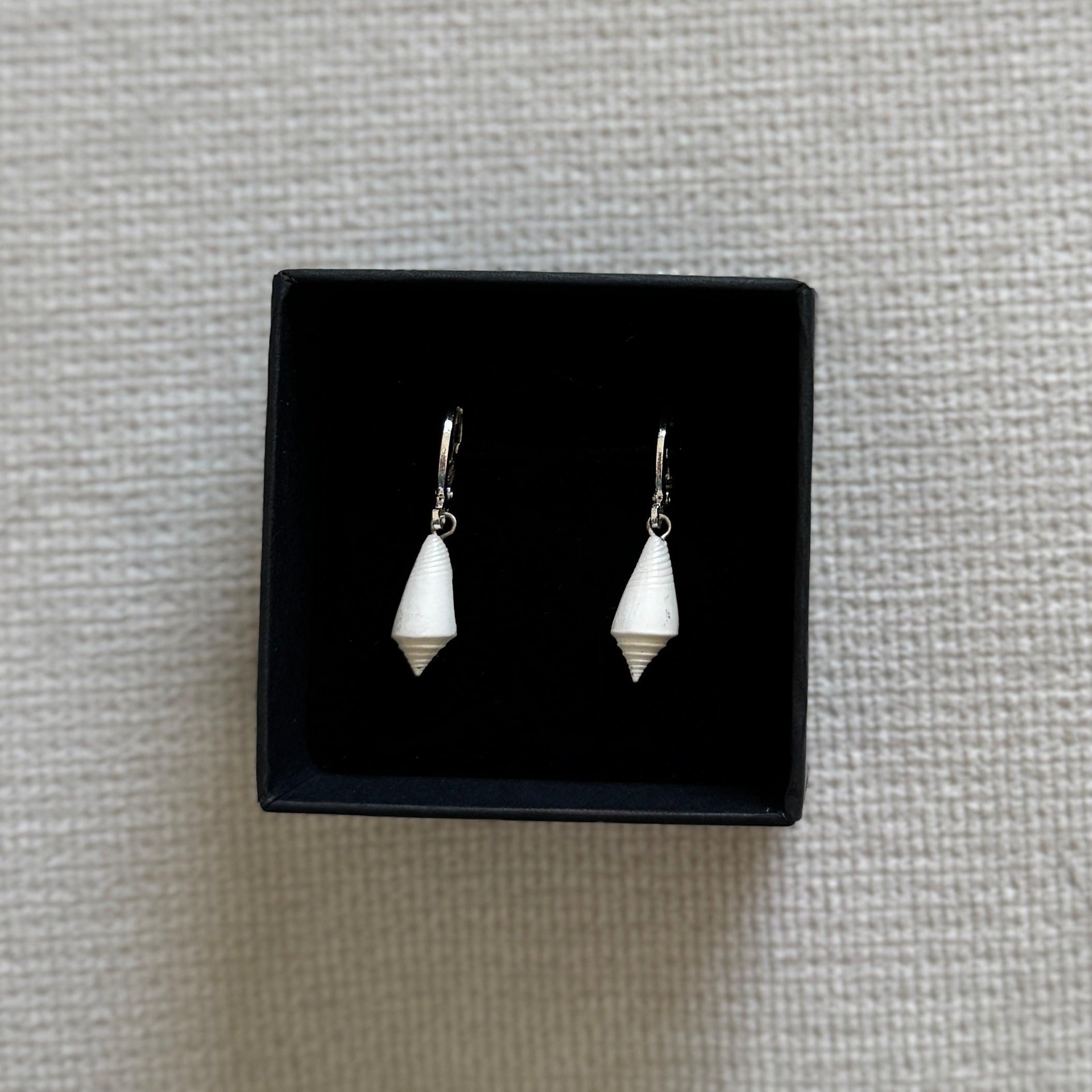 Phoebe Shell Earrings - Ostella