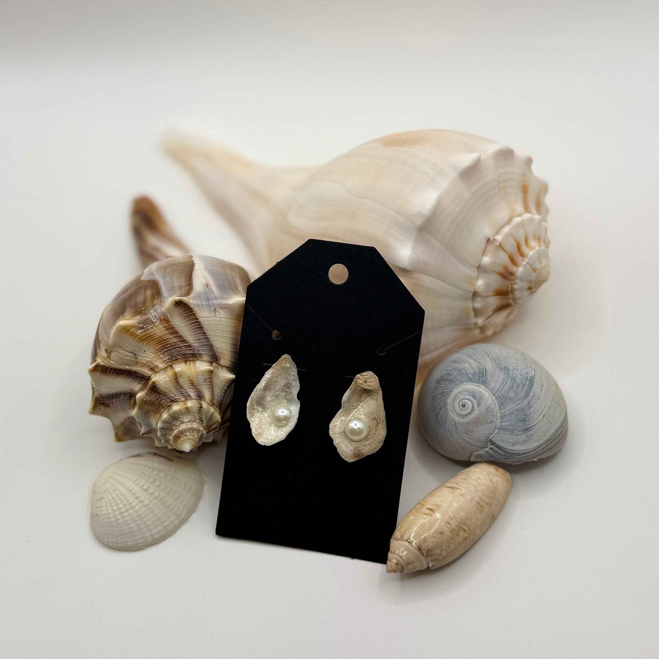 Natural Oyster Shell Stud Earrings: 18K Gold Plated