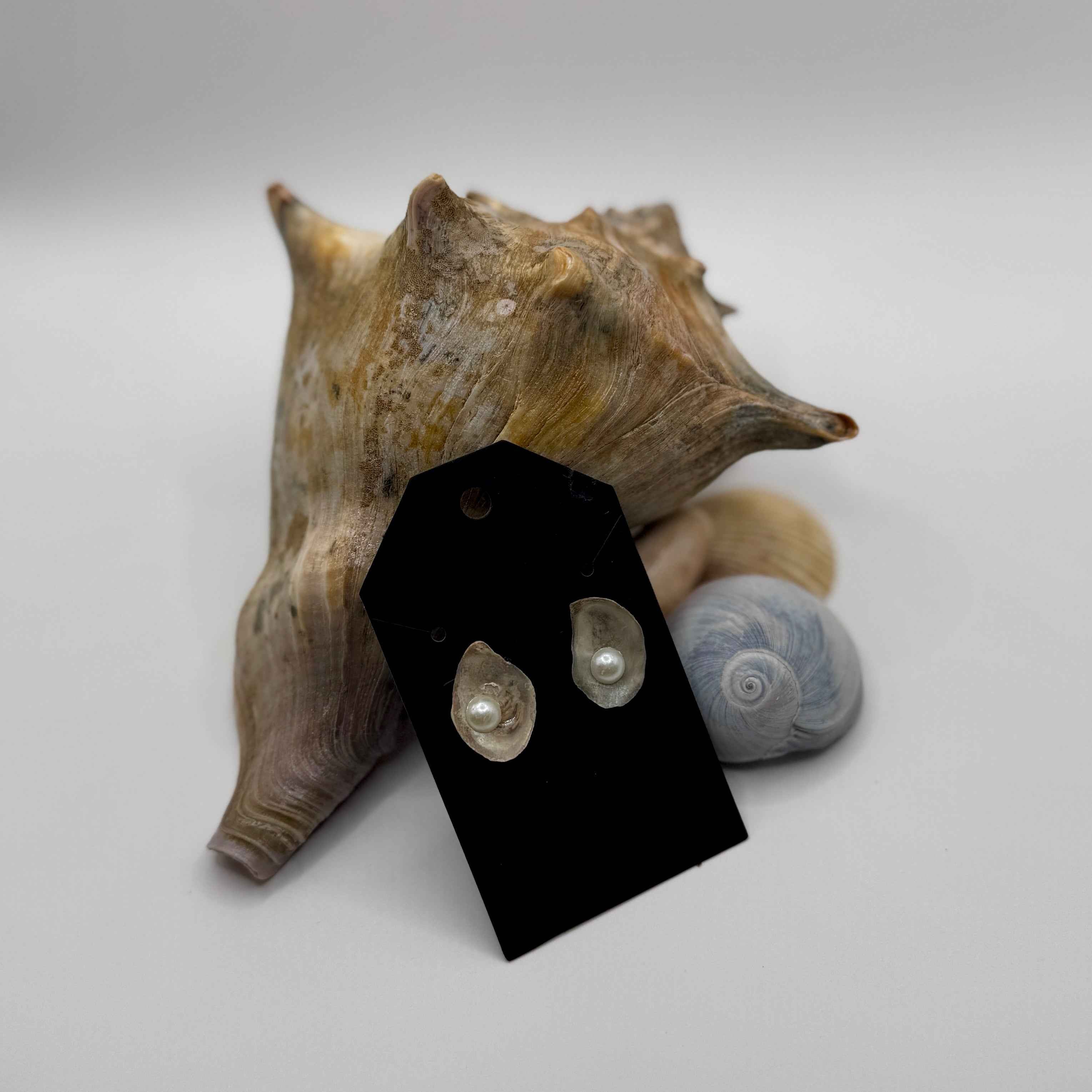 Natural Oyster Shell Stud Earrings: 18K Gold Plated