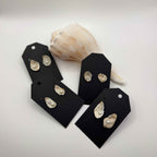 Natural Oyster Shell Stud Earrings: 18K Gold Plated