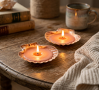 DIY Seashell Candle Making Kit