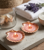 DIY Seashell Candle Making Kit