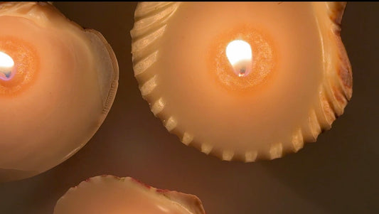 DIY Seashell Candle Kit: Soy Wax Candles