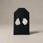 Oyster Shell Earrings