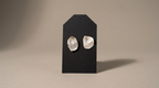 Oyster Shell Earrings