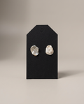 Oyster Shell Earrings