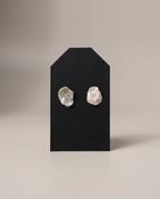 Oyster Shell Earrings