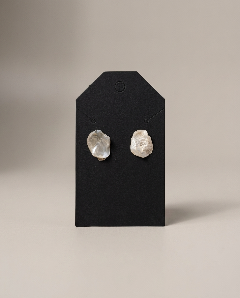 Oyster Shell Earrings