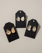 Oyster Shell Earrings