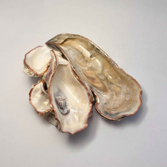 Oyster Shell Jewelry Dish: Rose Gold