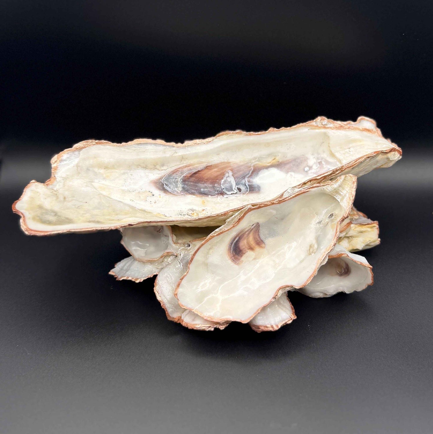 Oyster Shell Jewelry Dish: Rose Gold
