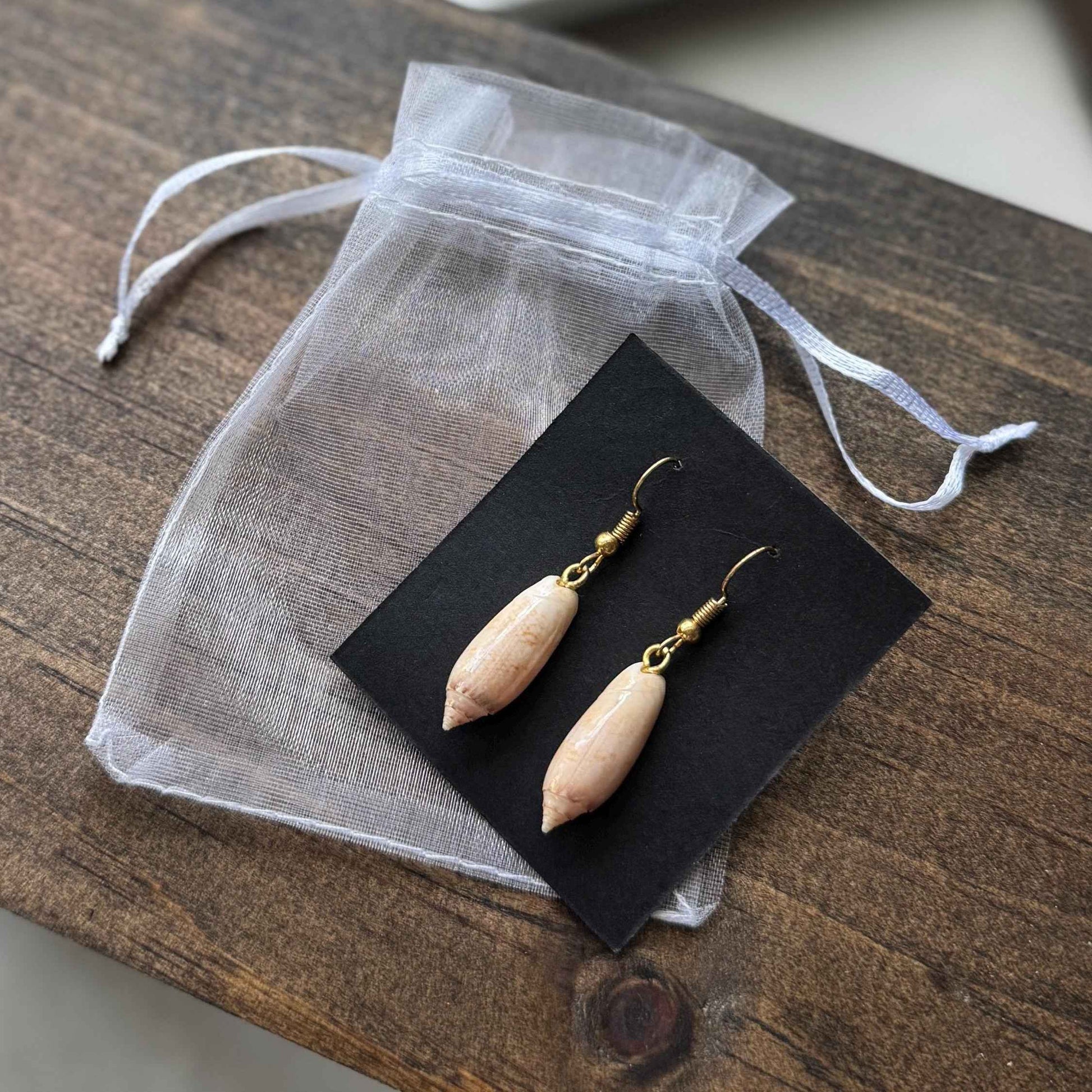 Lettered Olive Shell Earrings