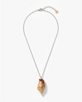 A silver chain necklace featuring a natural conch shell pendant, displayed against a clean white background.