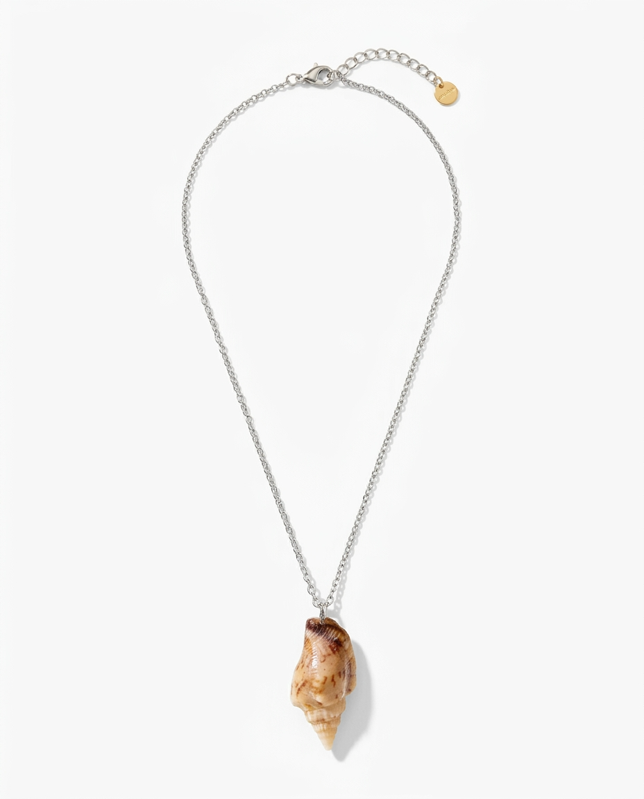 A silver chain necklace featuring a natural conch shell pendant, displayed against a clean white background.