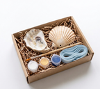 DIY Seashell Ornament Kit