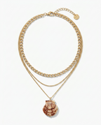 Pecten Stack